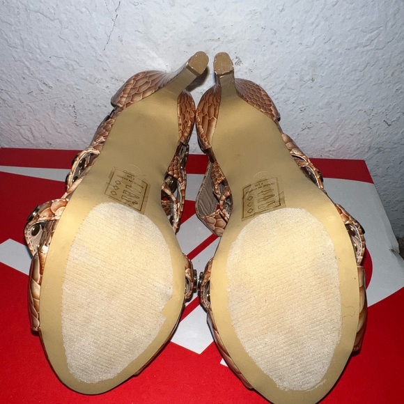 Scene - Picture 2 of 5